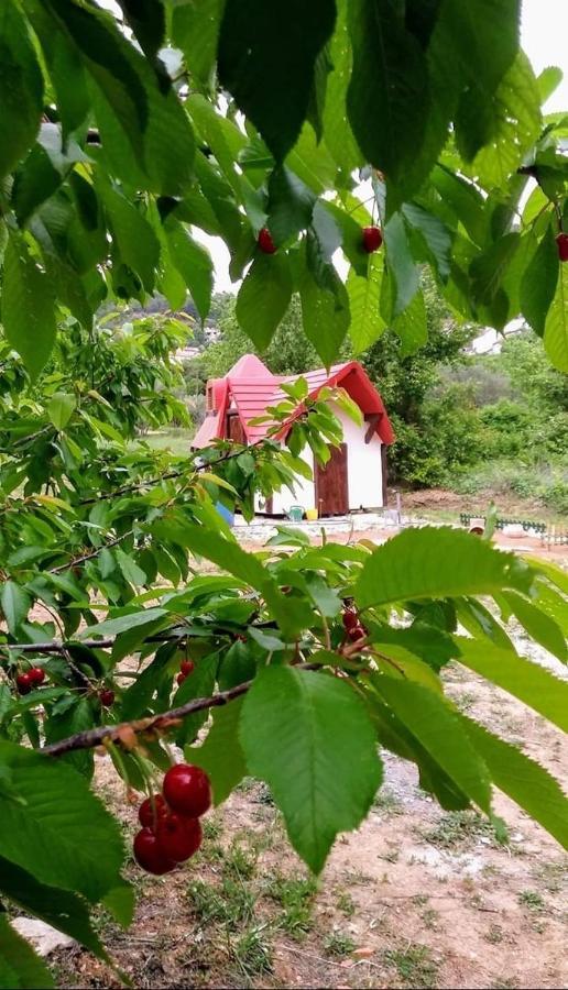 Krka Fairytale Little Castle Hotel Skradin Bagian luar foto